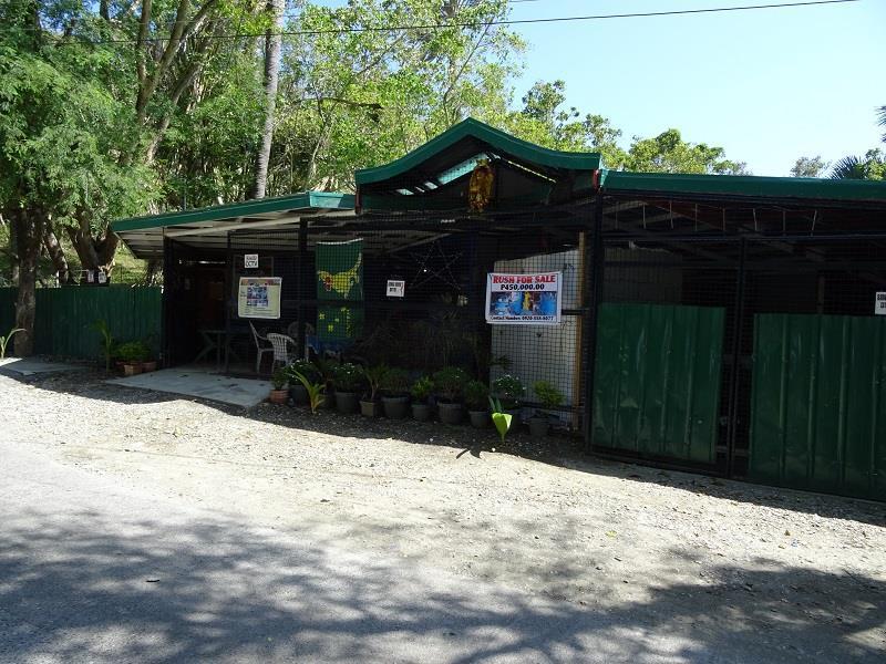 Happy Buddha Inn Пуерто Галера Екстериор снимка